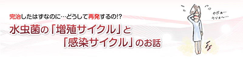 ���������͂��Ȃ̂ɂǂ����čĔ�����́H�����̑��B�T�C�N���Ɗ����T�C�N��